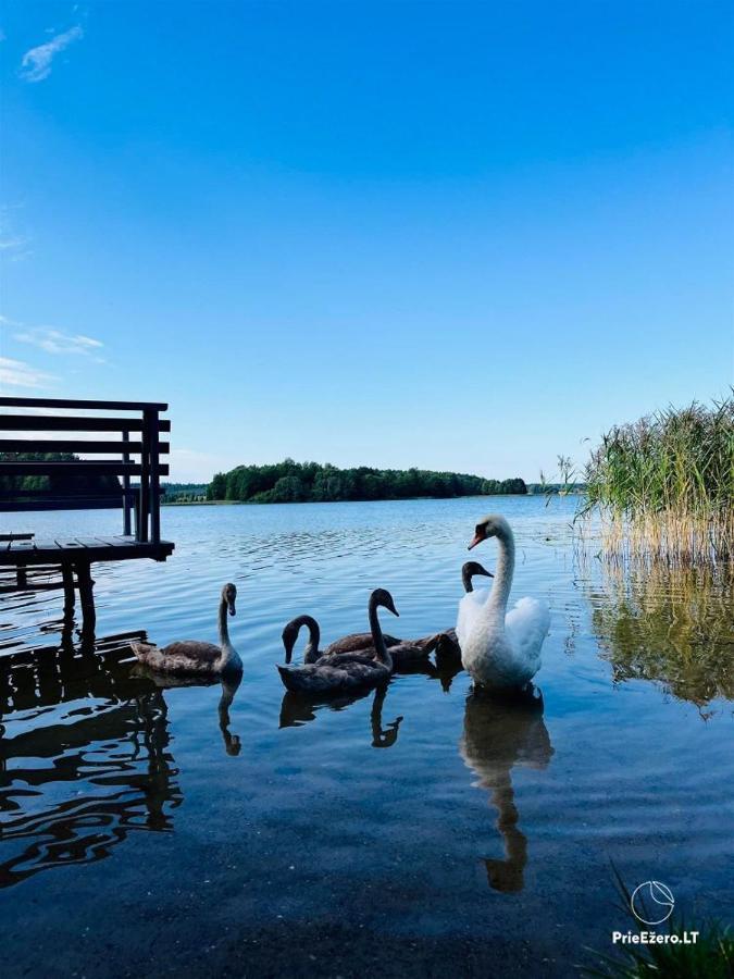 Resort By Nava Lake Aukštadvaris Kültér fotó